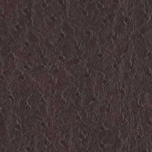 Contempo Vinyl Red Ostrich Ochre.jpg